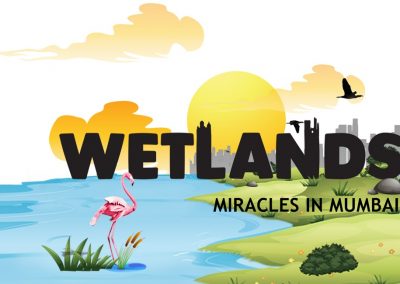 WETLANDS