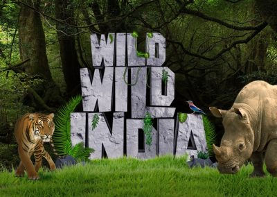 WILD WILD INDIA